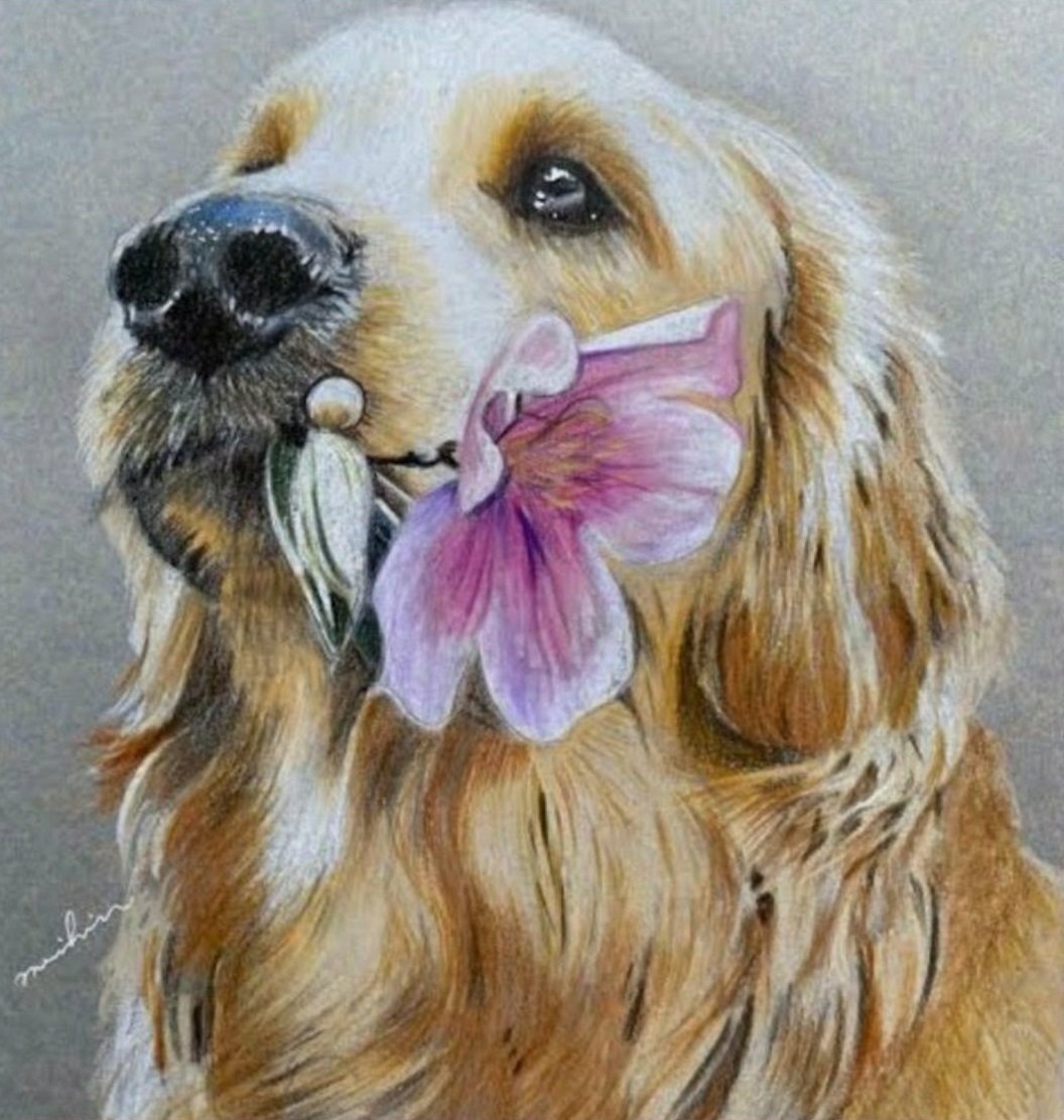 buseikisuu's tweet photo. Köpeğini bile kimseye emanet edemeyeceğiniz igrenç bir çağ düşünün.İşte biz tam o iğrençliğin içerisinde yaşıyoruz ve sapıklığın hala bir bedeli yok!Yasalar çıkıyor, sözde adalet kurumları çalışıyor.Ama hala kadınları, çocukları, hayvanları koruyamıyoruz!!!
#VOLKANUZUNTUTUKLANSIN https://t.co/IcZ0b2Wn4J