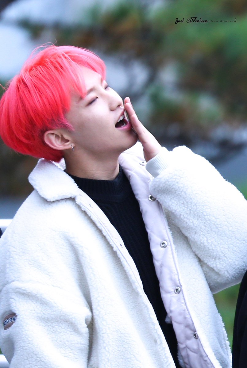 a hoshi-woozi combi thread