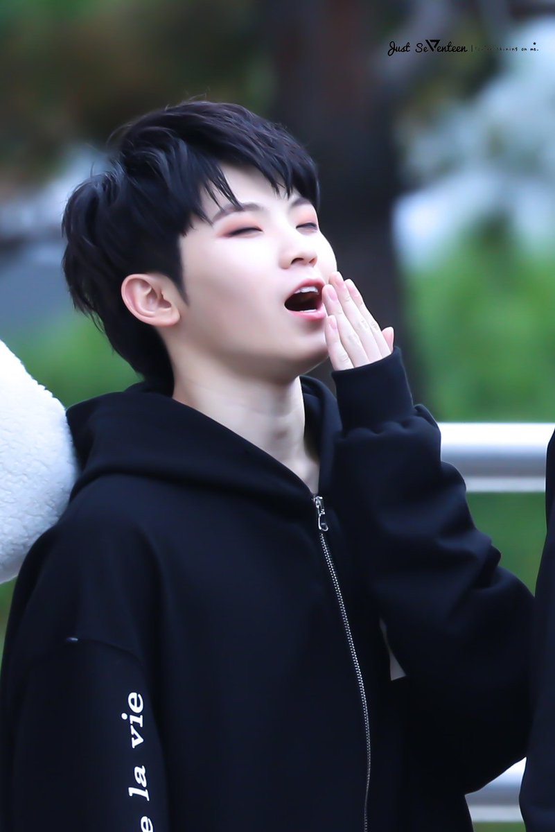 a hoshi-woozi combi thread