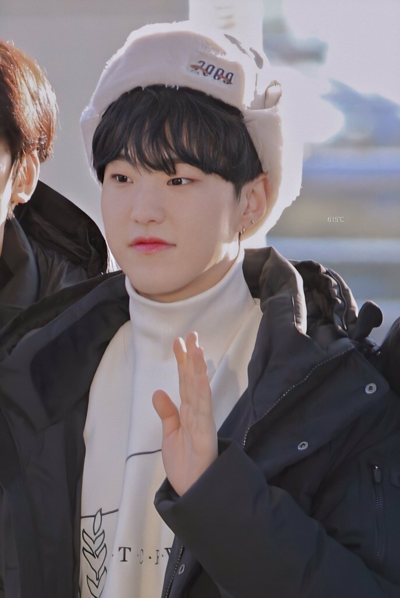 a hoshi-woozi combi thread