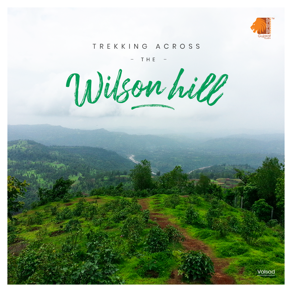 GujaratTourism's tweet photo. Wilson Hills lie in the Sahyadri mountain range and is a paradise for trekkers.The Shankar Waterfall point and the Ozone Valley point are some of its best attractions. Just 54 kms away from Valsad, the Wilson Hills make for a great monsoon getaway from the hustle of city life. https://t.co/VDVSQloQya