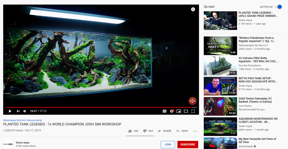 GLOCOgaming's tweet photo. I dunno how It happened, but I'm suddenly addicted with watching AQUASCAPING videos... Taena... https://t.co/CDzfmPKhiT