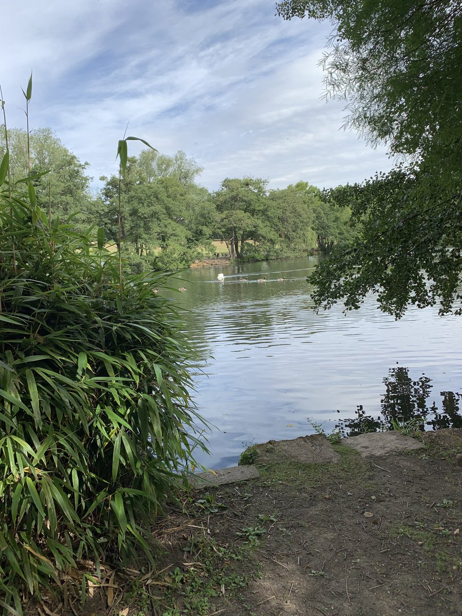 TheHRLounge's tweet photo. How lucky we are to have such a beautiful park so near #Grovelands https://t.co/5ffzqM6cCP