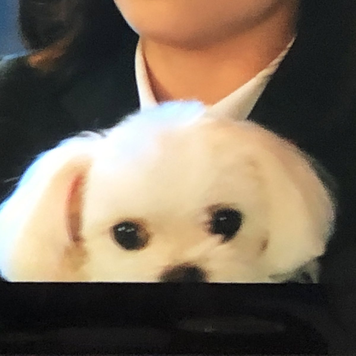 bamsikbbang's tweet photo. 인성이 벌써 나왓네 https://t.co/gkF1bsg4J0