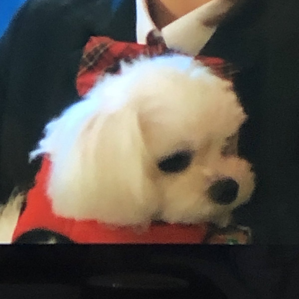bamsikbbang's tweet photo. 인성이 벌써 나왓네 https://t.co/gkF1bsg4J0