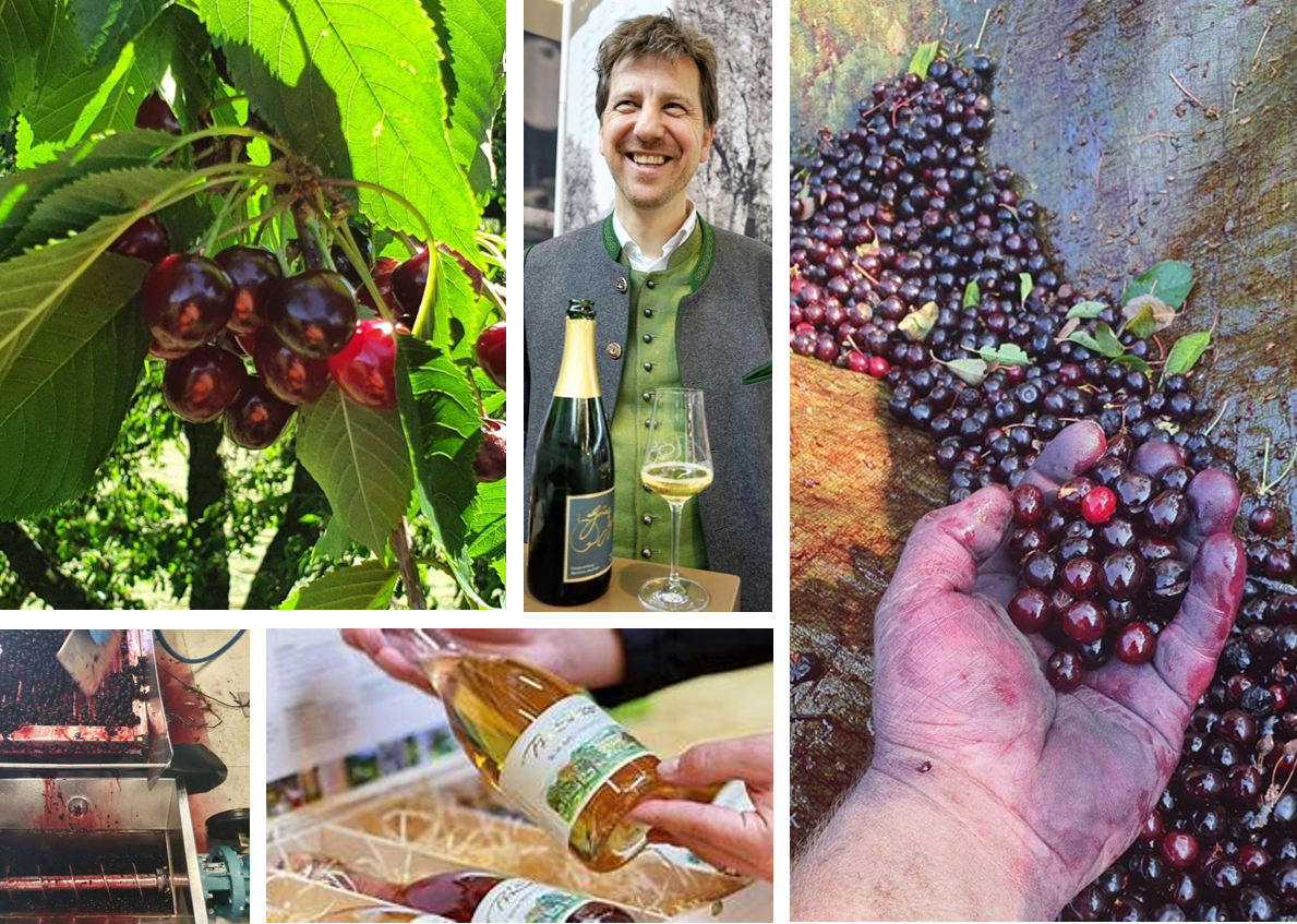 DelmosaBeverage's tweet photo. Insider’s Look! The World’s Best Non-Alcoholic Beverages by Manufaktur Jörg Geiger. In his cellar you will find 40 hand-produced terroir-driven #alcoholfree juices. https://t.co/akv8VivkZI
#Delmosa #sommelier #beveragedirector #wineportfolio #winemenu #winelist #winedistribution https://t.co/D9m5m229HE