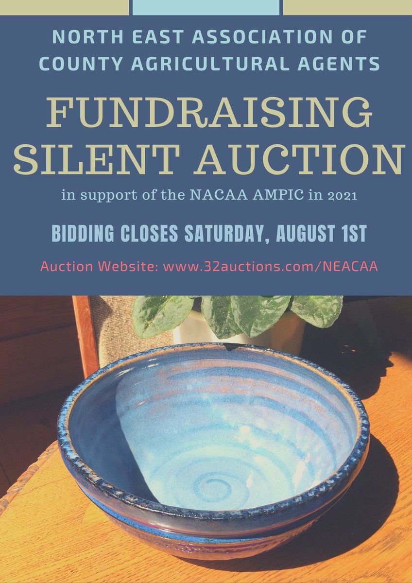 Help us raise funds for Philly 2021 by participating in the NEACAA online silent auction. Visit 32auctions.com/NEACAA to start bidding!! <a href="/agagents/">agagents</a>