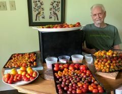 GrogansMill's tweet photo. Fall Organic Vegetable Gardening Class
Saturday, July 25, 2020
Zoom webinar
Dr. Bob Randall, noted Houston vegetable gardening expert and published gardening author, will share his lifetime vegetable gardening expertise in this Zoom webinar. 
Register now.
https://t.co/PQR0bfyqc3 https://t.co/256VOb10f0