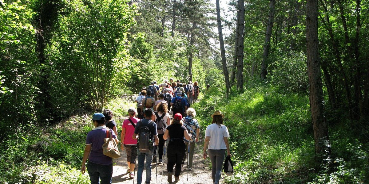 FAI_FVG's tweet photo. Scopri la #bellezza del #Carso con il #FAI e #CuriosidiNatura: l'escursione "Basovizza e le jazere" ti aspetta sabato 25/7 h17.30 😊 Prenotazione online obbligatoria entro domani 24/7 h16 fino esaurimento posti ▶️ https://t.co/Jp56fznBjY
#natura #storia #Trieste #Fvg https://t.co/e0HXYo2X50