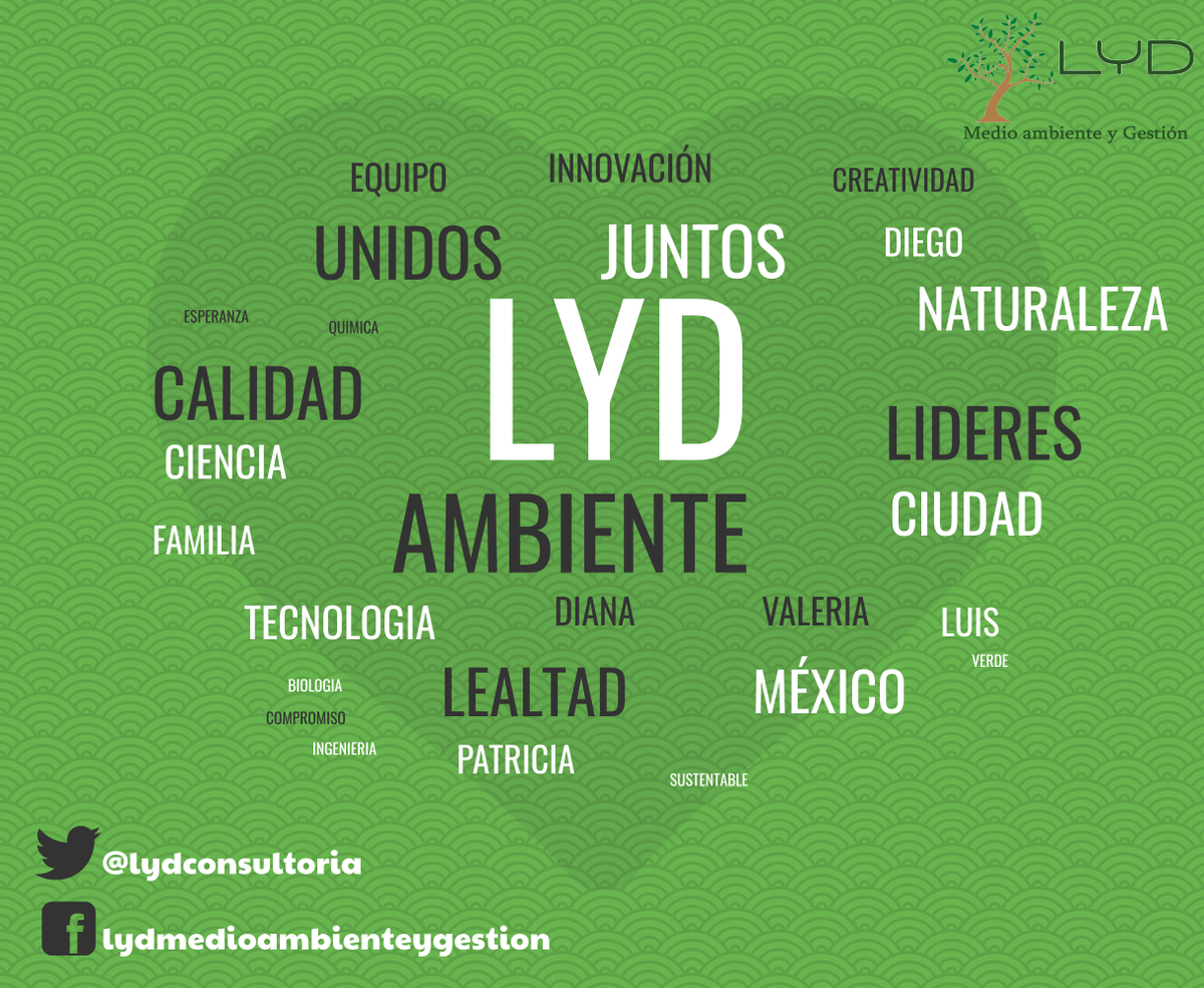 LydConsultoria's tweet photo. ¡TRABAJANDO JUNTOS!
#FAMILYD #LYD https://t.co/kHfjgmEloa