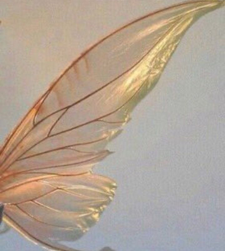 YETER, ARTIK YETER!
#VOLKANUZUNTUTUKLANSIN