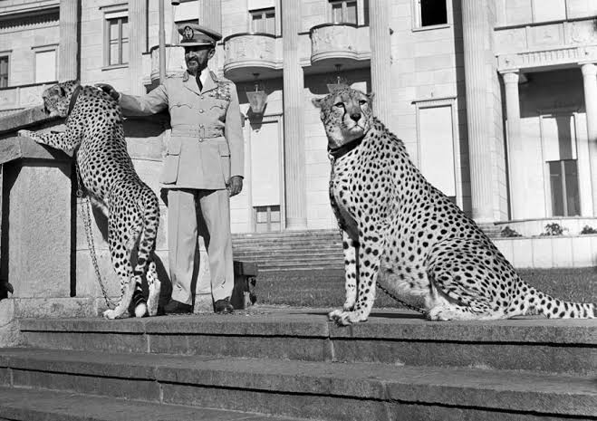 IAMRAPCHA's tweet photo. King of Kings 👑 Ruler 🇪🇹 https://t.co/hXJPrhkV4N