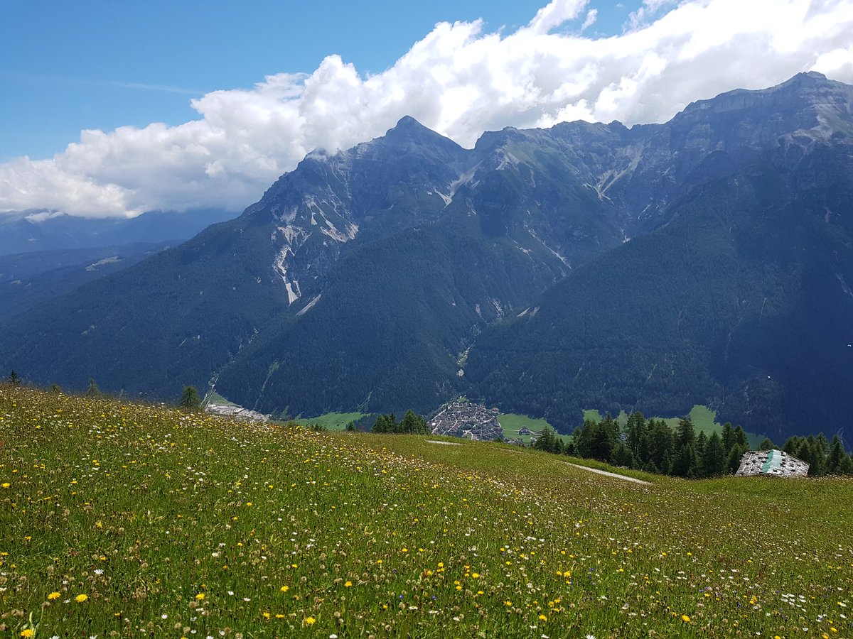 KatalNegin's tweet image. Lucky to be part of #susalps project and do fieldwork in the #stubaital #austria #alps #ecologistlife
@DisturbanceEco1 @unibt
