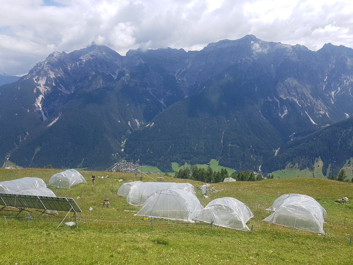KatalNegin's tweet image. Lucky to be part of #susalps project and do fieldwork in the #stubaital #austria #alps #ecologistlife
@DisturbanceEco1 @unibt