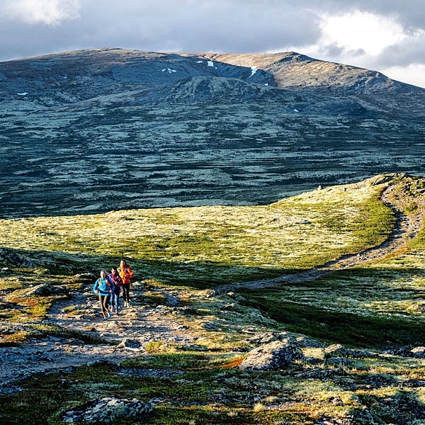 What’s the difference between Trail Running, Mountain Running and Fell Running? Read our blog to find out the difference 🏃‍♂‍👟😀 . naturetravels.co.uk/blog/whats-the… . #thursdaythoughts #blog #runningblog #trailrunning #fellrunning #runningcommunity #runningadventure #runningholidays