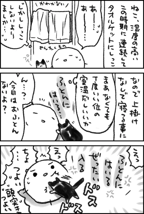 腹にねこを受けてしまってな… 