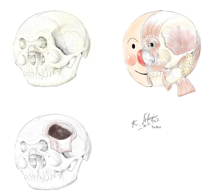 医者として解剖の勉強のために絵を描いてたんだけど、どこかで間違えたらしい 