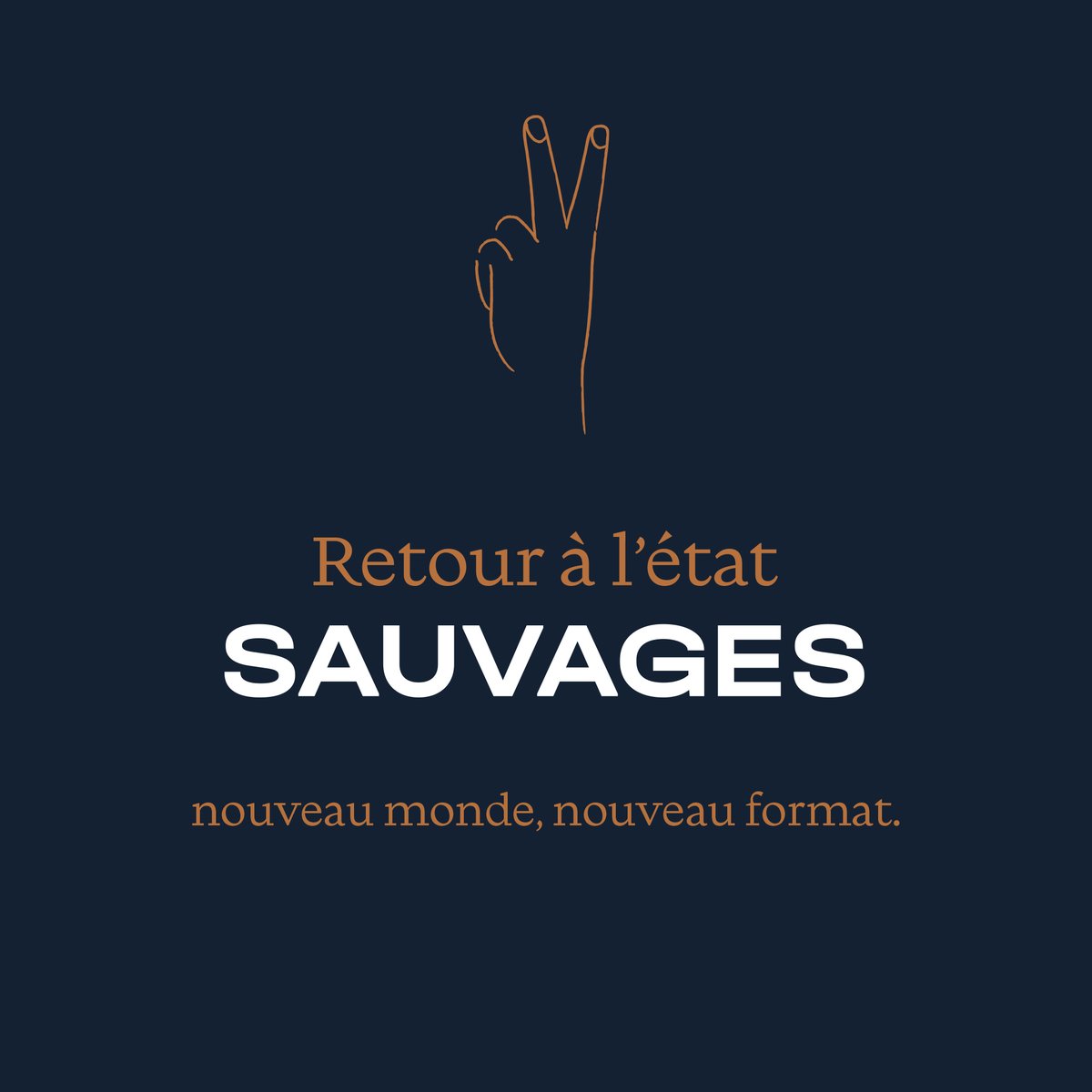 SAUVAGES change de mains.
Nouveaux dirigeants, nouveaux bureaux, nouvelle identité…
Mais toujours le même ADN !
Pertinence, créativité, agilité, cette nouvelle ère a besoin de nouveaux SAUVAGES.