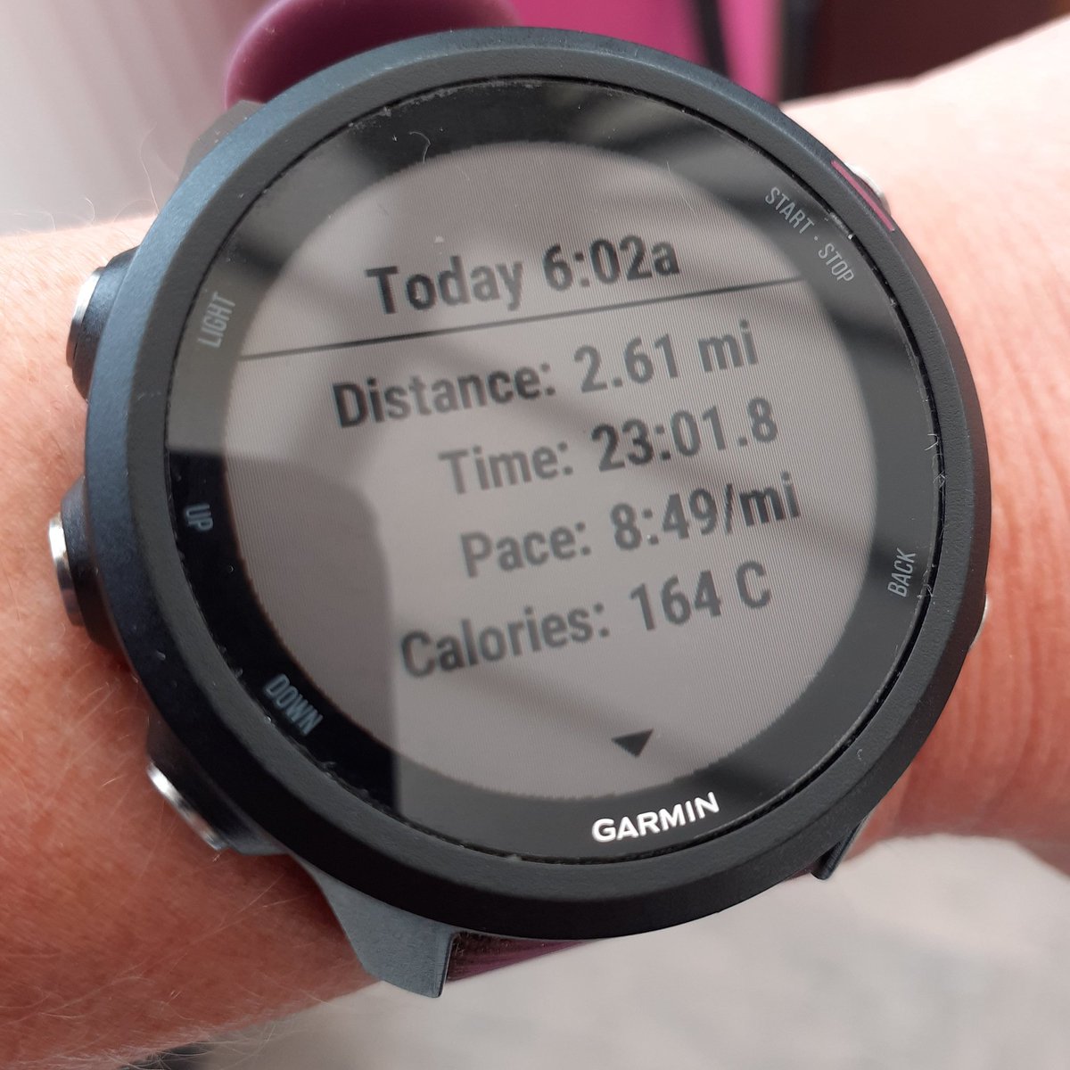 cathgeden's tweet photo. This morning's run 🏃‍♀️ hopefully @Garmin connect will be back up soon so can log my miles on #strava
#garmindown #ukrunchat #running https://t.co/dIavyAeZO8