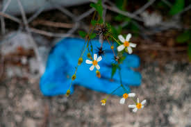 MegawattLove's tweet photo. Why is everyone who is Pro mask also not at all concerned with where these millions of discarded maskes & gloves ="biohazard" trash is ending up? It's on the street, on beaches/oceans, in national parks...it's everywhere....is that okay? #maskdisposal #garbageeverywhere #Hanx https://t.co/UVj0UuKonk