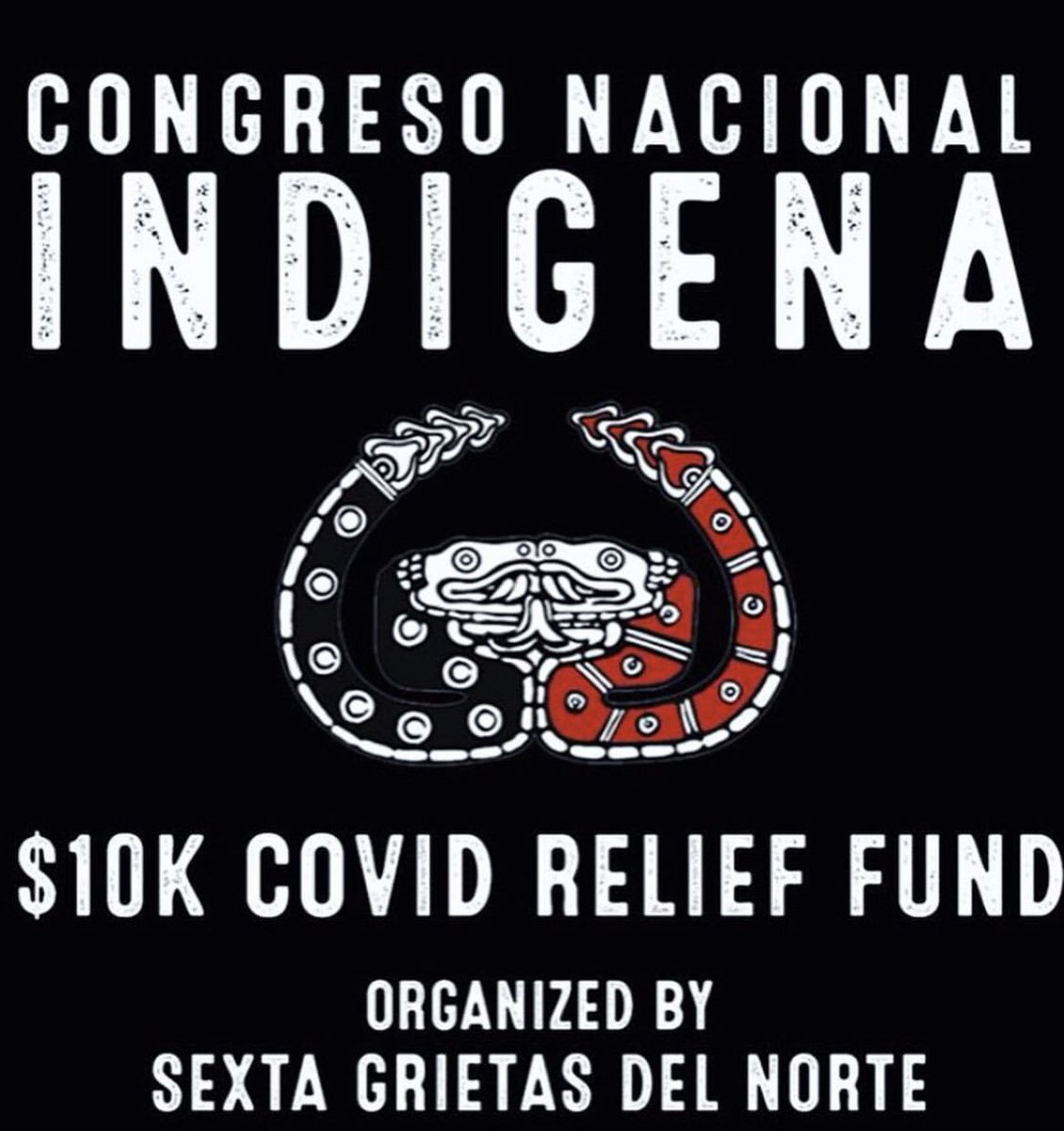 Let’s unite for those who continue to put their lives &amp; bodies on the line to protect mother earth and resist the most evil of all viruses : capitalism 💀. Calling on all to share and donate! gofundme.com/f/support-to-i…