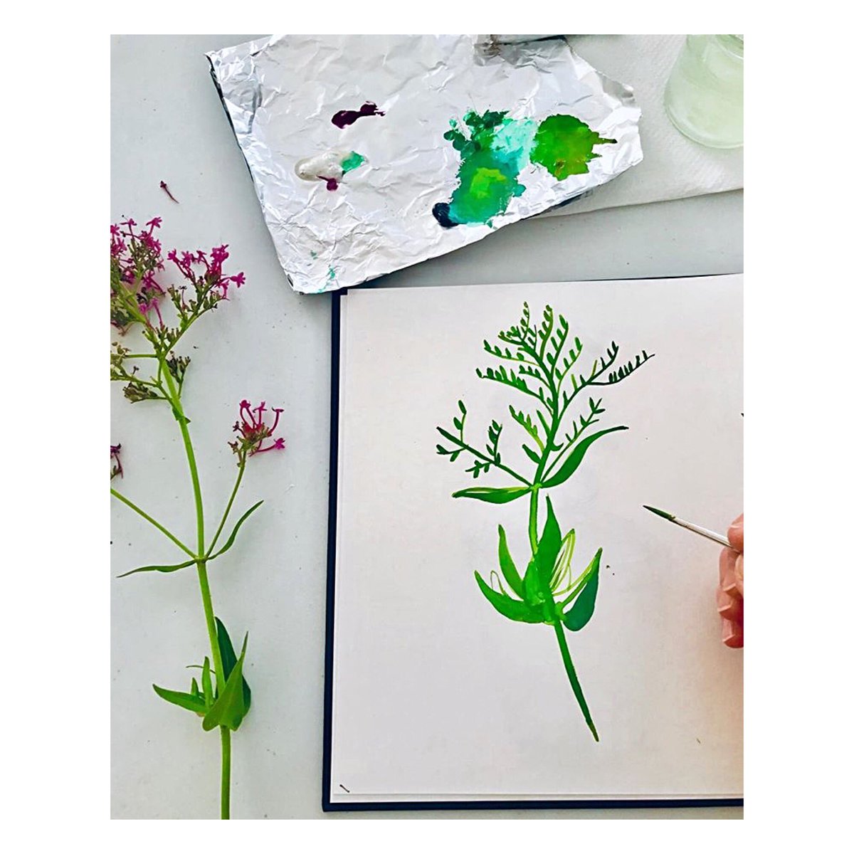 StudioScrase's tweet image. A new illustration project on the way... 🌿🌷🌱

#countryside #inspiredbynature #wildflowers #painting #illustration #bath #welovebath