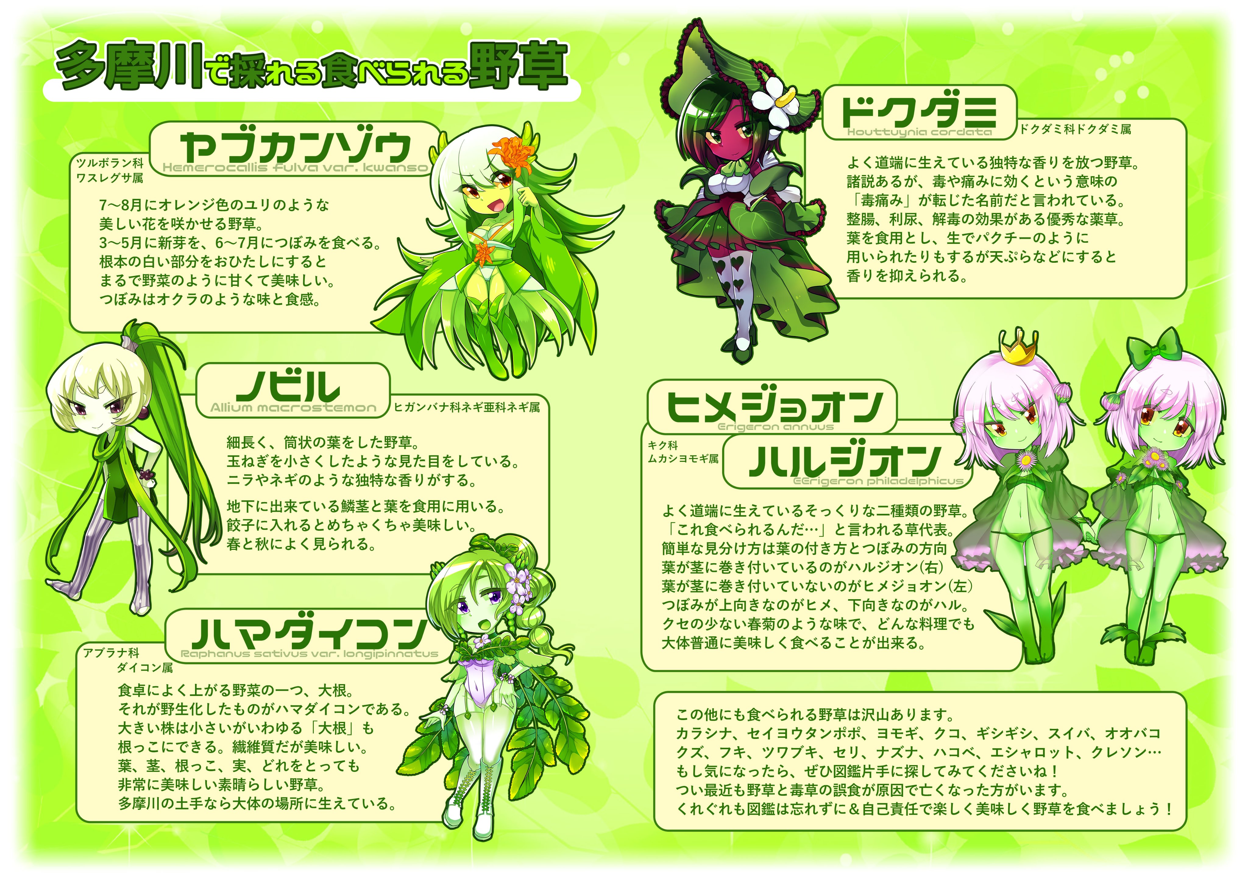 たんぽぽ隼丸 創作フェス 実際に食べたことあるその辺に生えてる草を擬人化して食レポつき図鑑にしたためたり ファンタジーっぽい絵や漫画をちょこちょこ描きます 植物と人外と異色肌と羽が大好きです T Co Xtlcfgunqh Twitter