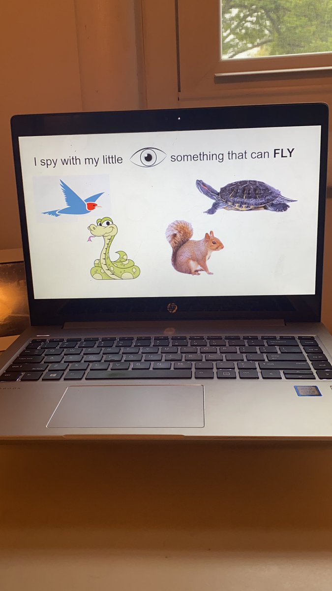 GraceKOMalley's tweet photo. Today on Zoom we will be playing “I Spy with My Little Eye” #collskind #collsacademic #summerfun #prekvirtuallearning https://t.co/9JWGlfBeEh