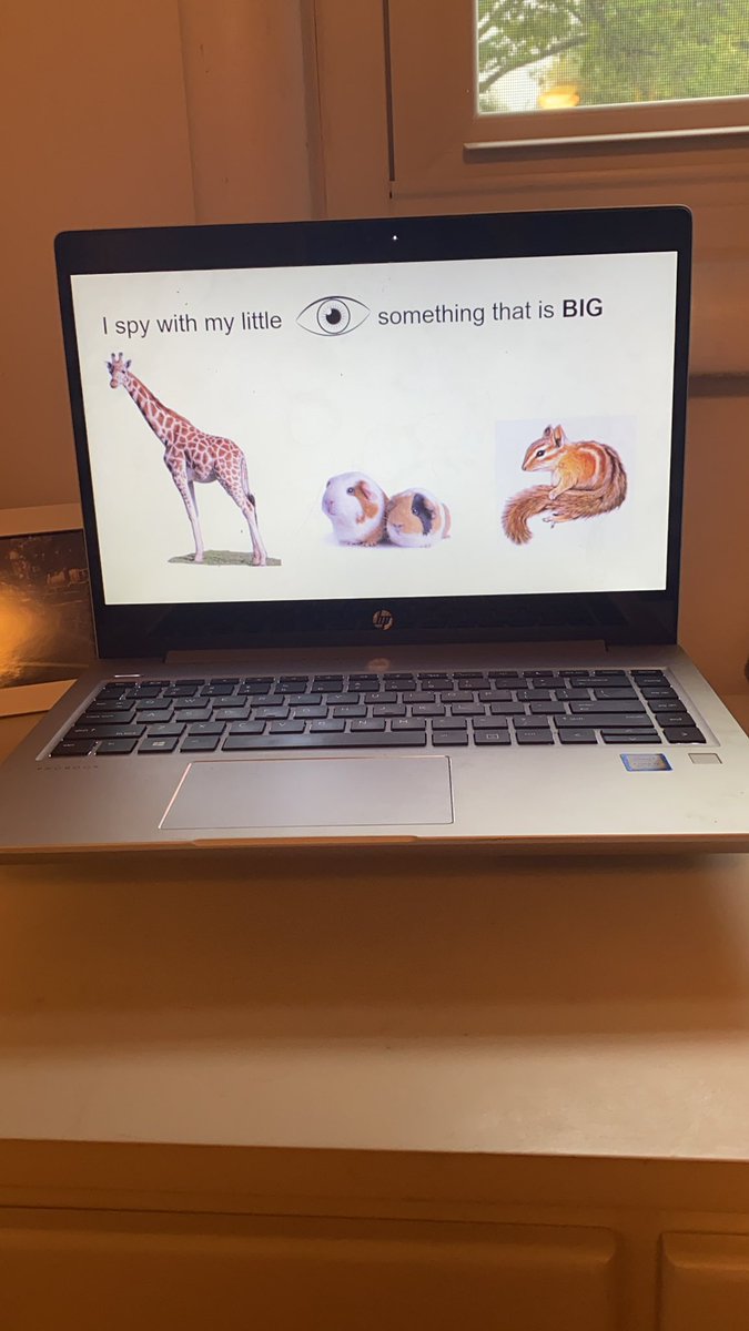 GraceKOMalley's tweet photo. Today on Zoom we will be playing “I Spy with My Little Eye” #collskind #collsacademic #summerfun #prekvirtuallearning https://t.co/9JWGlfBeEh