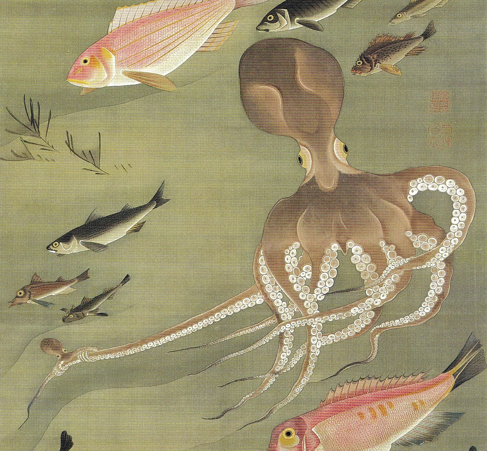油絵 たこ 美大生が描いた『タコ』を5万人が絶賛 「本物にしか見えない