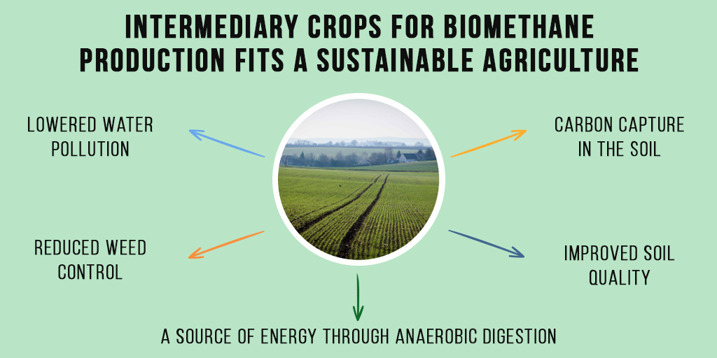JM_Gauthey's tweet photo. How to make #agriculture 🧑🌾🚜more #sustainable 🌍is a major issue. Intermediary crops 🌱 contributes to a good management of the soil... combined with anaerobic digestor, it brings significant #RenewableEnergy ♻️
#EUGreenDeal #FutureofCAP #SmartSectorIntegration #biomethane https://t.co/n3ImBDy2Rn