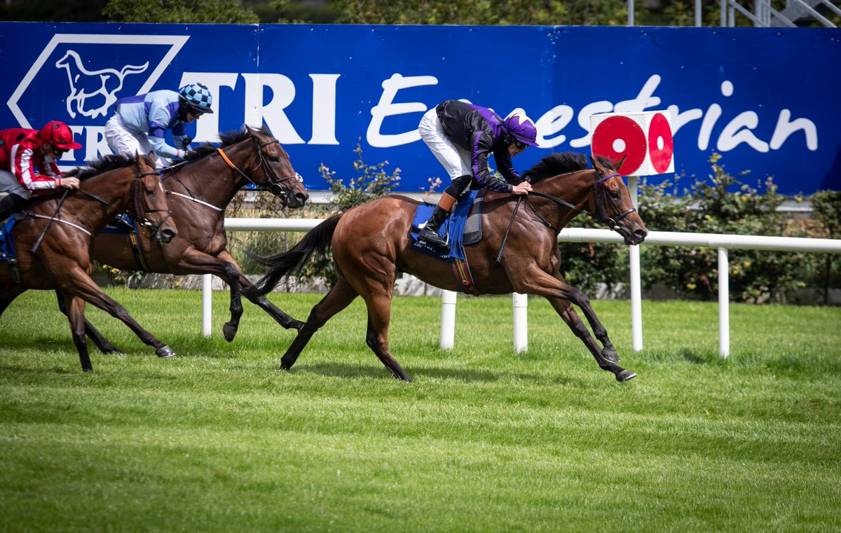 Leopardstown RC tweet media