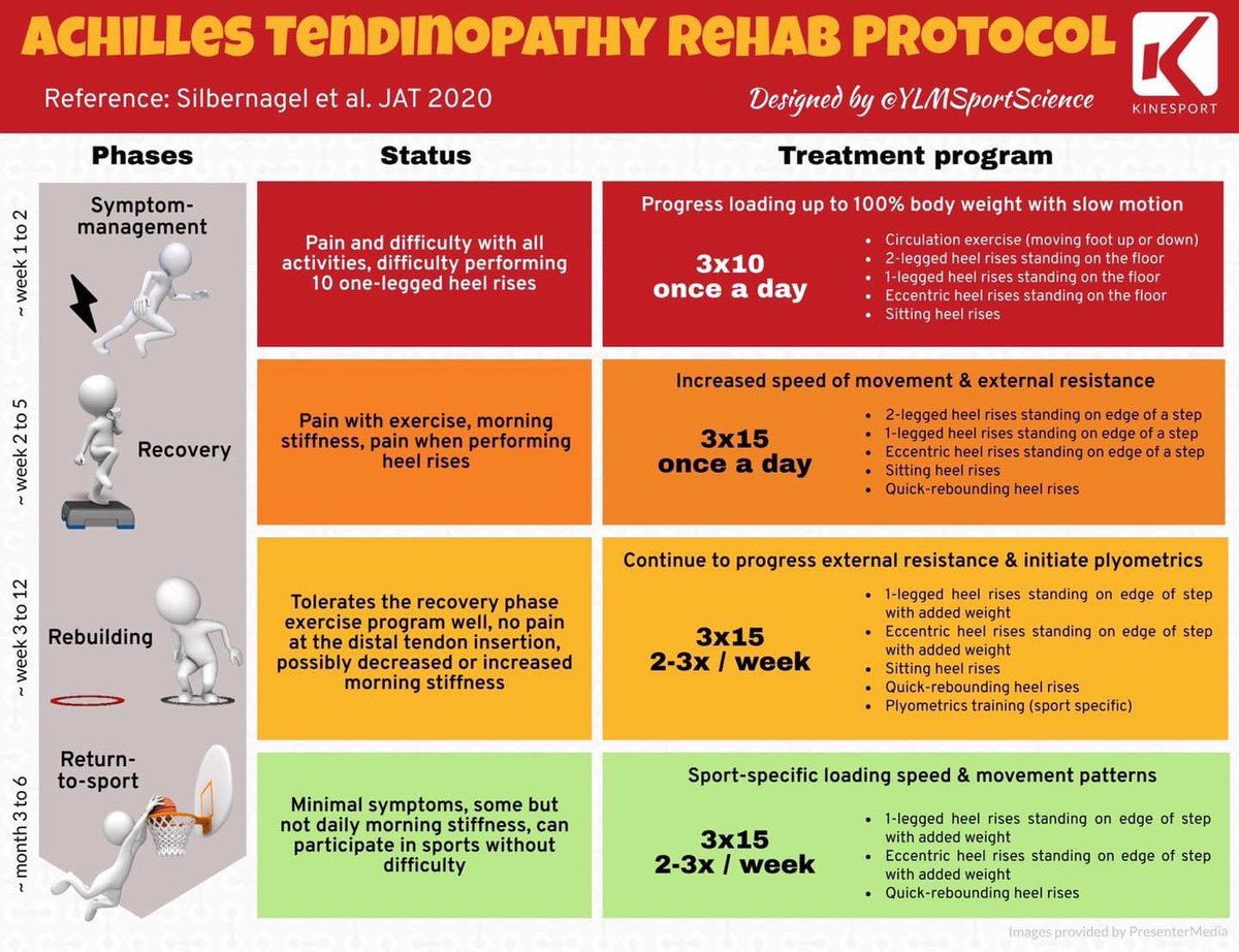 Achilles tendinopathy rehab protocol 🏃‍♂️ 

Want to learn more about Achilles rehab? 

Learn from world-leading expert, <a href="/kgSilbernagel/">Dr. Karin G Silbernagel</a>, here 👉 physio-network.com/masterclass/op…

Graphic by the great <a href="/YLMSportScience/">YLMSportScience</a>.