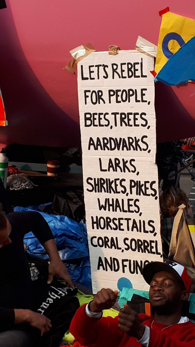 5/6 Saving the biosphere means system change. Another paper won’t do that, but NVDA mightConservationists have never been neutral, objective observers – ours is a value-driven science. So the question now is tactics  #DICECON20  #ConEffect1