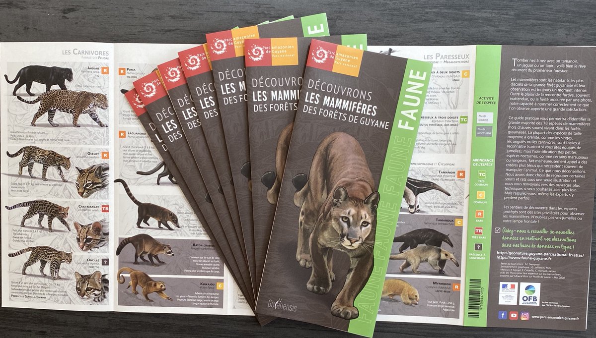 FP_Officiel's tweet photo. Découvrez la diversité de la #faune du #parc national #Amazonien de #Guyane . Dépliants chaudement imprimés  avec pliage plis accordéon sur #stonepaper 160 microns. #papierpierre #communication #nature #innovation #ecofriendly #cartography https://t.co/AIYs6ZcKDx