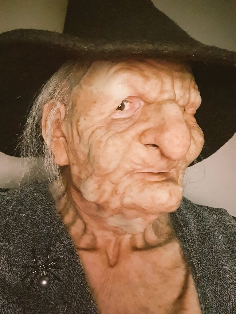 Ye Wise Olde Witch tweet media