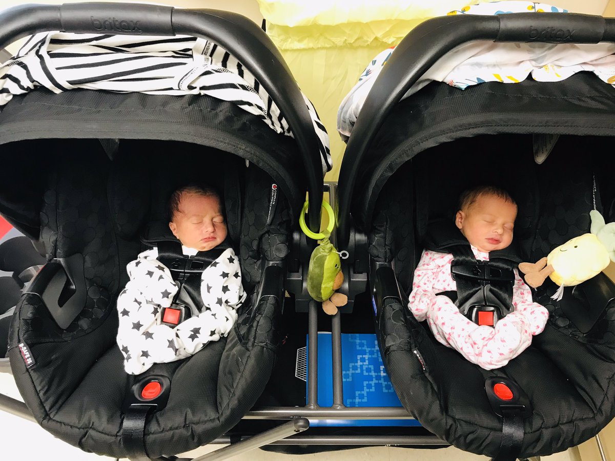 coachmeansAL's tweet image. My amazingly awesome rockstar (could go on for days 😍) of a wife Lissette and I are happy to introduce Maximus💙 and Lola💜 to Shoremen &amp;amp; Shoregal country! Born on 7/11 #blessed #familyof6 #shoremen #shoregal