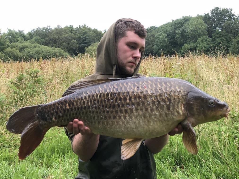 CarbonBaits's tweet photo. Chris Finney fished a 55 acre pit with his campaign still going strong with 3 fish landed! All caught over his chosen boillie in conjunction with crushed &amp; whole tigers.
.
.
#carbonbaits #hasslefree #particle #hemp #maize #tigers #minimix #partimix #hookbaits #carpy #angling https://t.co/eSbRr9f8k3
