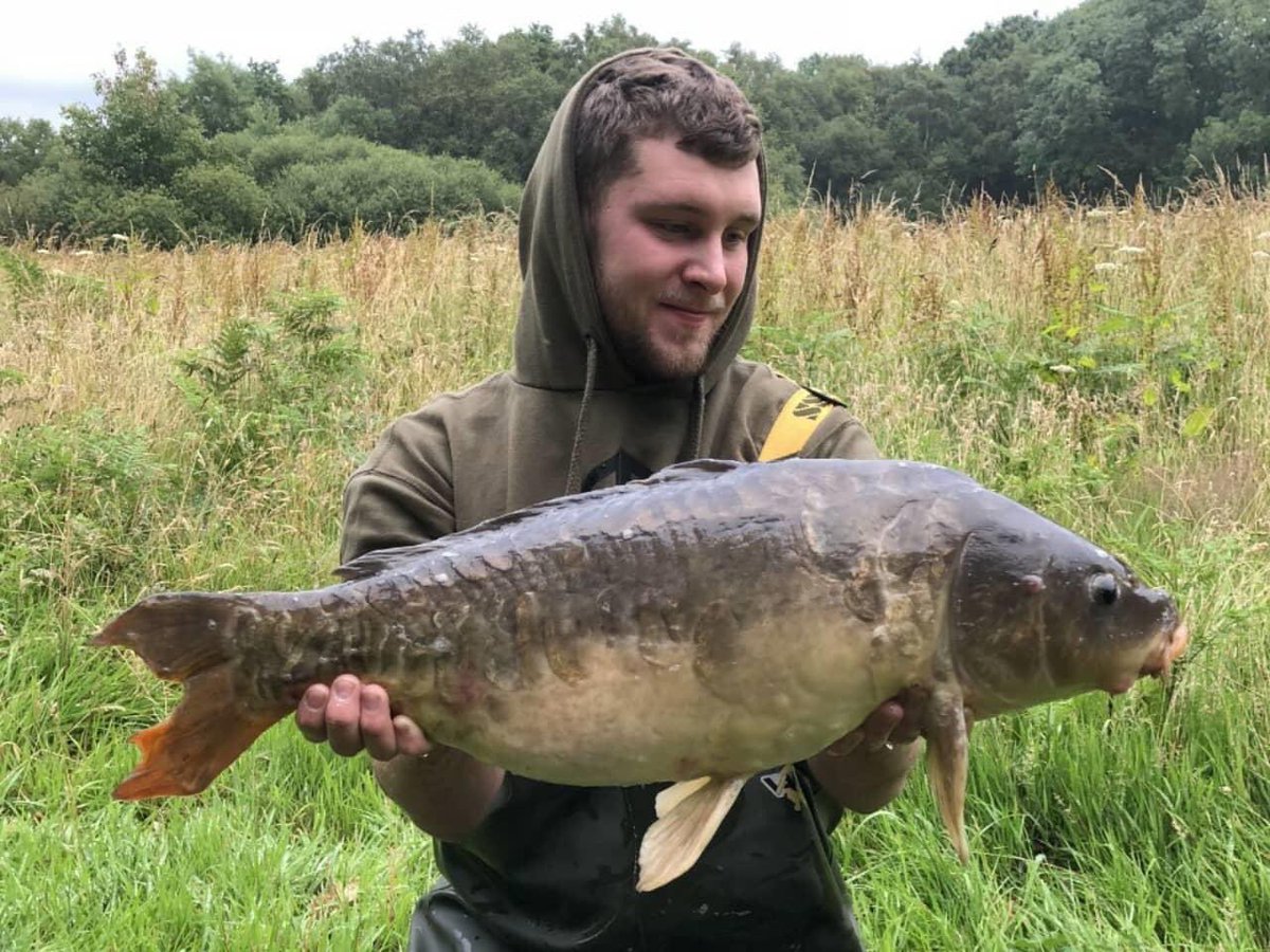 CarbonBaits's tweet photo. Chris Finney fished a 55 acre pit with his campaign still going strong with 3 fish landed! All caught over his chosen boillie in conjunction with crushed &amp; whole tigers.
.
.
#carbonbaits #hasslefree #particle #hemp #maize #tigers #minimix #partimix #hookbaits #carpy #angling https://t.co/eSbRr9f8k3