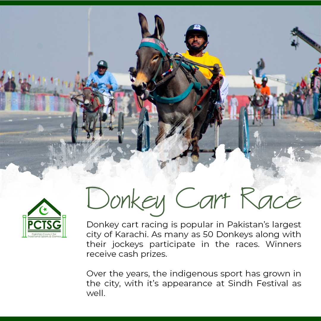 PakistanTSG's tweet image. DONKEY CART RACING

Donkey cart racing is popular in Pakistan’s largest city of Karachi. As many as 50 Donkeys along with their jockeys participate in the races. Winners receive cash prizes. 

#PCTSG #DonkeyCartRacing #Karachi