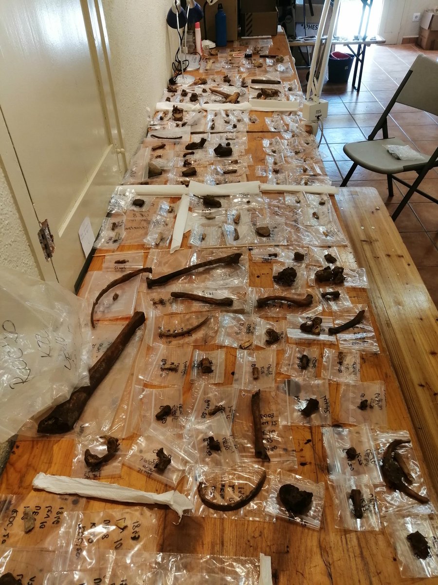 Miguel_preh's tweet photo. Día de trabajo de laboratorio con el material del #RocOrenetes #Roc2020 @ArrelsP. #Arqueología #EnterramientoColectivo. Bones everywhere!! 💀🤩 https://t.co/XqMBJIZ9iq