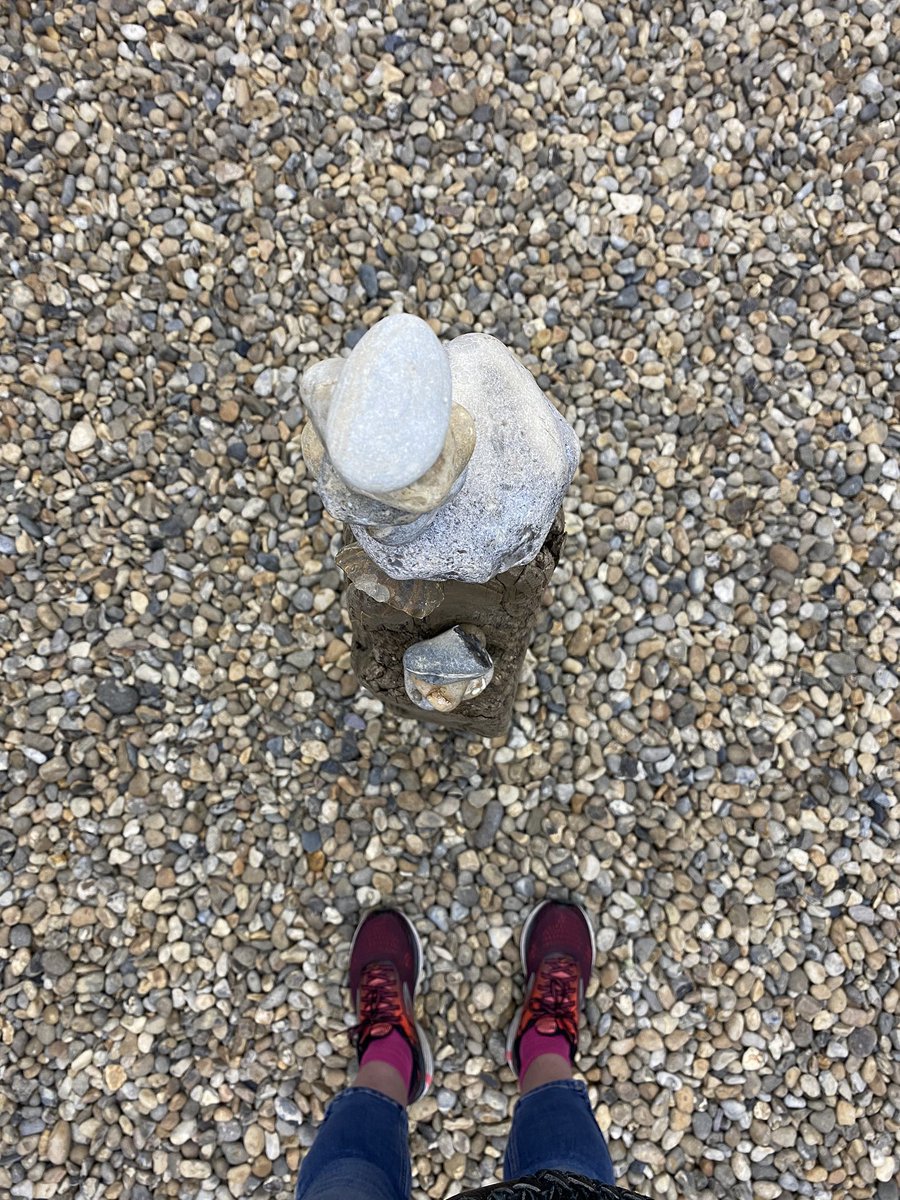 Surprisingly emotional reading Jarman describe his garden as his anchor. How many of us adrift have felt grounded in nature over the last few months?  @GardenMuseumLDN  #ProspectCottage