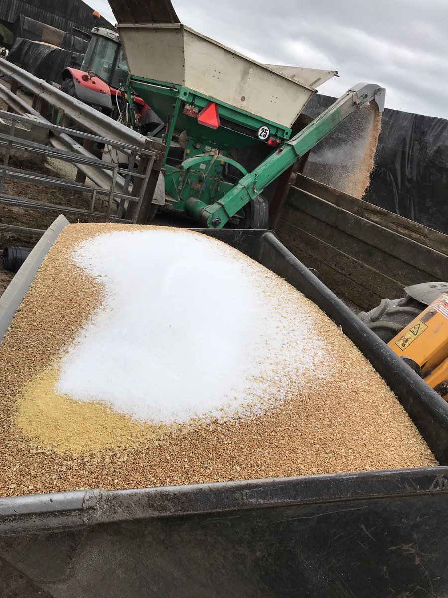 Agritonuk_ah's tweet photo. Who said treating grains had to be difficult? #powergrain https://t.co/x8iHX1yX1b