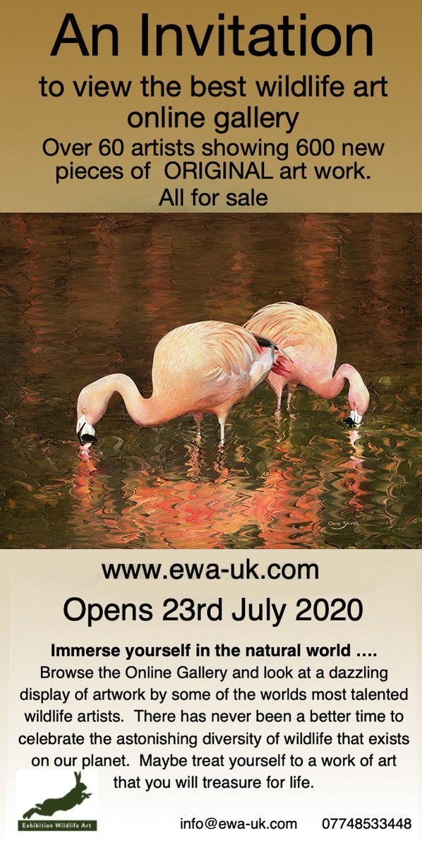 tangoartist's tweet photo. Wildlife Art Exhibition now open, go to: https://t.co/TrBzA0ZKp7 https://t.co/GS1ZoVtHuS