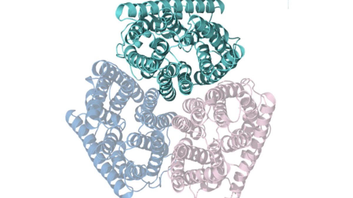 UoDLifeSciences's tweet photo. A two-lane mechanism for selective biological ammonium transport is the latest collaborative work between @UZDundee & @ArnaudJavelle @UniStrathclyde. Published @eLife
Authors include @AndreiPisliakov @Marcus_Bage @CallumMIves @LabAmmonium
https://t.co/ZxQNFCJFtv https://t.co/3An5gSmVD5