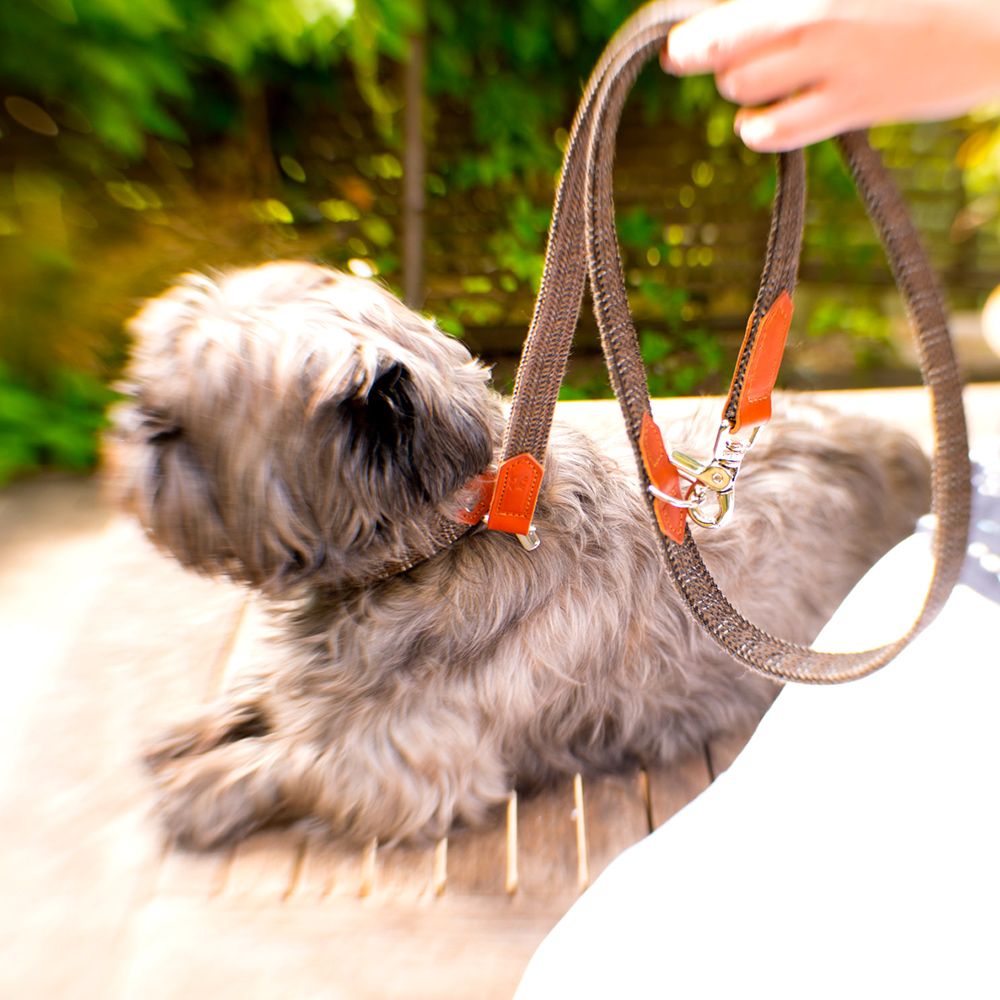 dashingtweeds's tweet photo. *Dashing Dogs*
We collaborated with @HiroandWolf, who used our reflective tweed within their collection of leads and collars. Only a few pieces left in store, hurry whilst stocks last.
#DashingTweeds #DashingDogs #Dog #DogLead #DogCollar #HiroandWolf #DogAccessories #HappyDog https://t.co/A84C1VIaY2