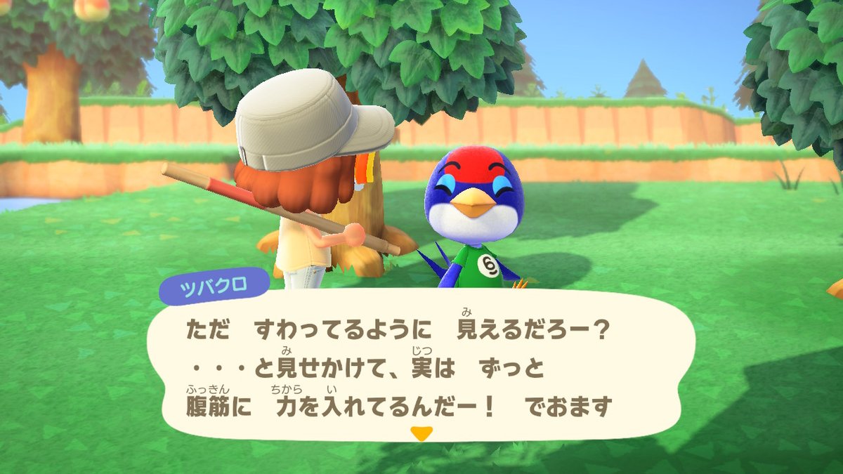 まっきぃ 現在のお天気 ひとんちの庭で勝手に鍛えないでください どうぶつの森 不法侵入