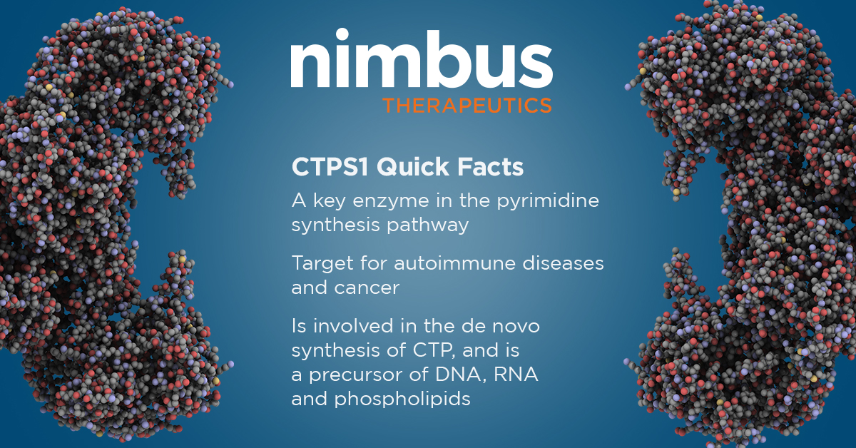 NimbusTx's tweet photo. This #TargetThursday, meet CTPS1, a key enzyme in the pyrimidine synthesis pathway. Nimbus will use structure-based approaches with CTPS1 to target autoimmune diseases and cancer. https://t.co/mttGVJpKW9 https://t.co/e8ggdaeWh9