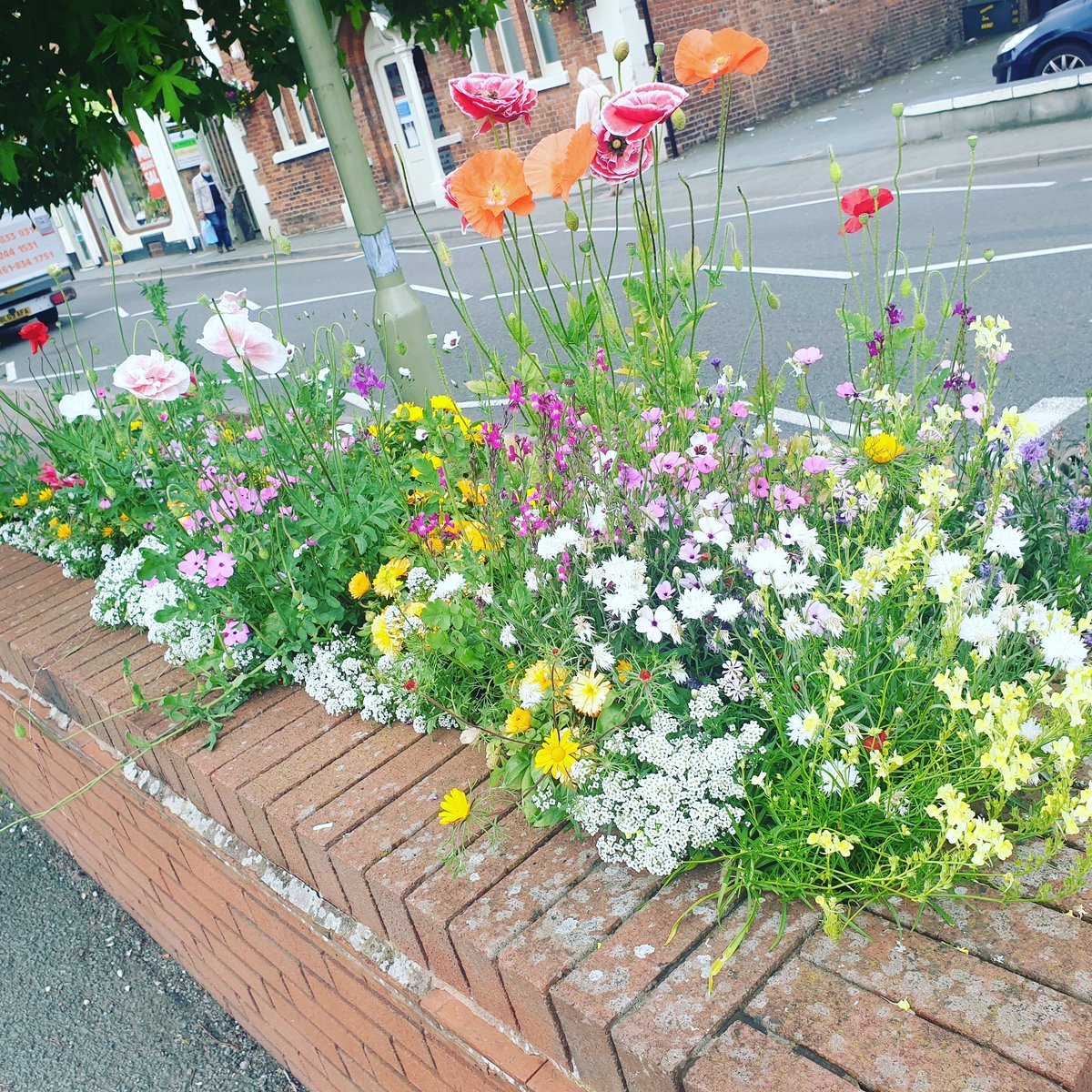 Volunteers planting scheme on Central car park 🌺🌼⚘
