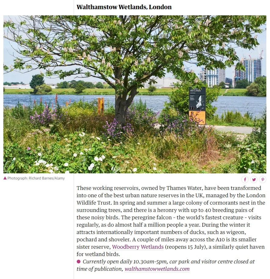 wfcouncil's tweet photo. It was great to see the #WalthamstowWetlands listed as one of the 10 best UK nature reserves on reclaimed land in the @guardian yesterday: https://t.co/Di8AmiecCM Thx @StephenMoss_TV 

If you've not had the chance yet do, take a trip and enjoy Europe's largest urban wetlands! https://t.co/uRfzaXnAFY
